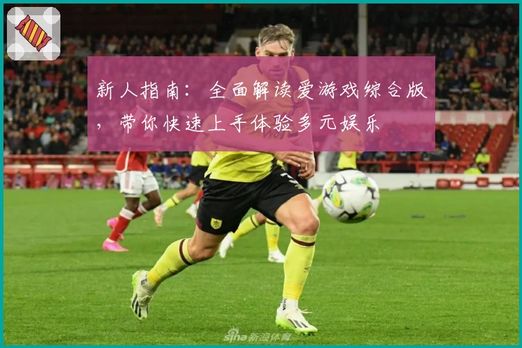 新人指南：全面解读爱游戏综合版，带你快速上手体验多元娱乐